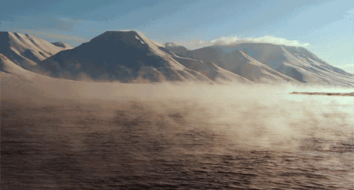 5.gif