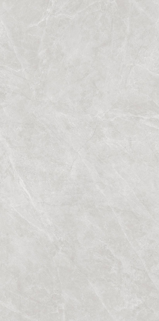 S15718 罗德里戈-银灰