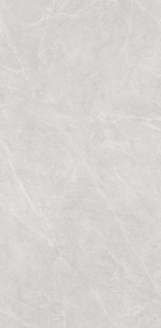 S8818罗德里戈-银灰