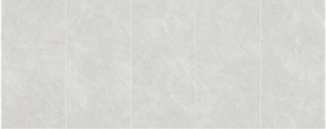 S15718 罗德里戈-银灰