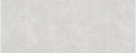 S8818罗德里戈-银灰